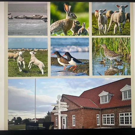 Mando Hotel Ribe