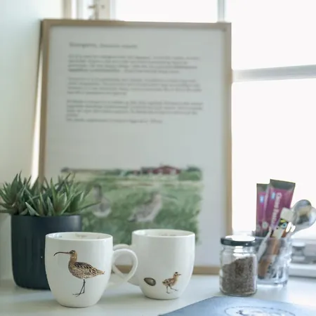 מלון Mando ריבה